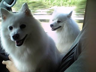 羽衣も風もるんるん♪