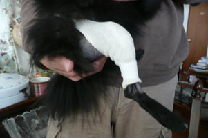 痛々しいです。。。