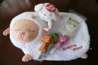 aliceさん、ありがとう♪