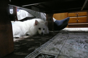 くつろぐ羽衣＾＾