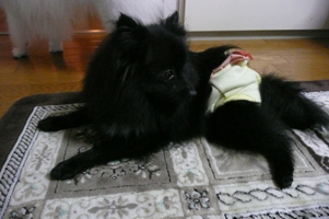 宇宙もまったり＾＾