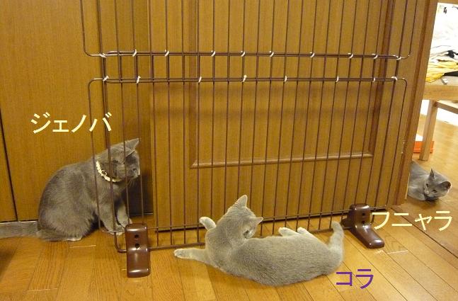 寄っていく