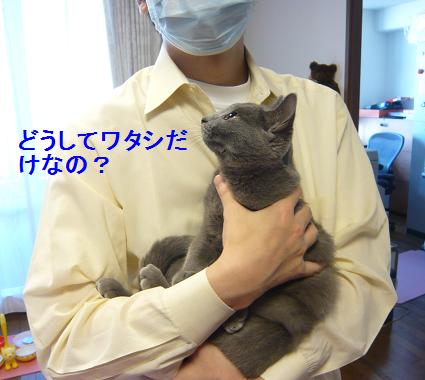 フニャラ