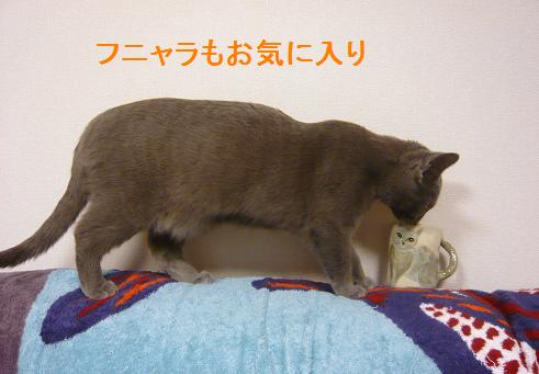 コラマグ