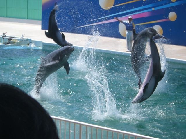 鴨川シーワールド