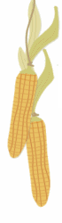 corn.gif