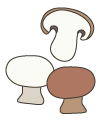 mushroom.gif