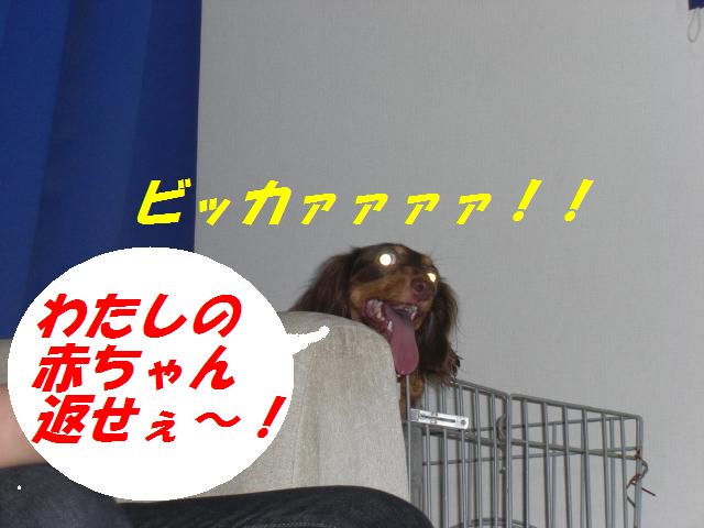 返して.jpg