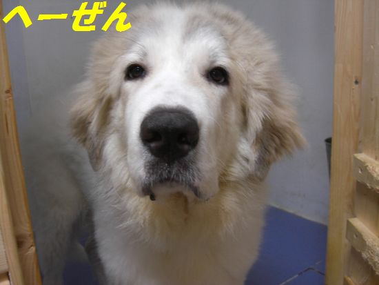 あつくない.jpg