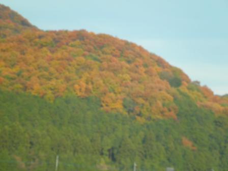 日光付近の紅葉