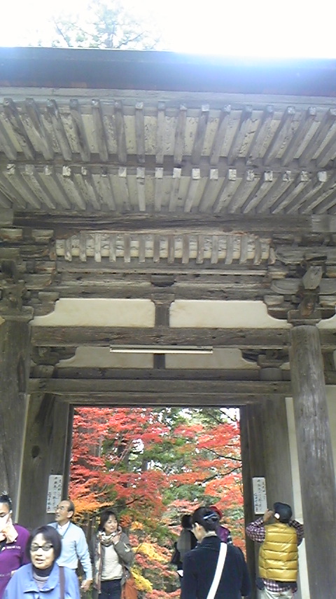 2011.11.23西明寺