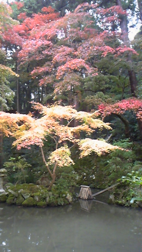 滋賀紅葉狩り（2011.11.23）お庭編