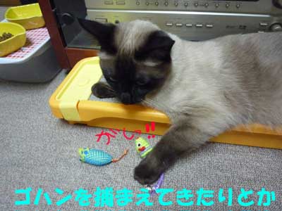 たんぱく質は重要ですよ！.jpg