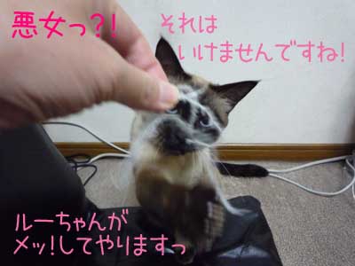 猫パンチですっ！！！.jpg