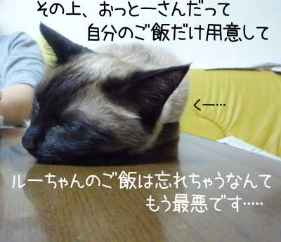 言っても過言ではないです！！！.jpg