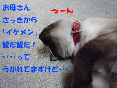 ウキウキなのも結構ですがルーちゃんだって.jpg