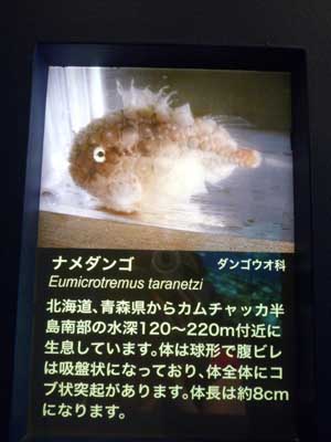 なめ団子？.jpg