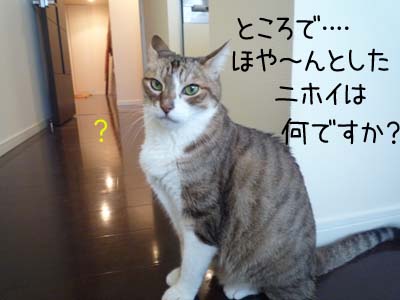 なる予定ですよ（＾＾）.jpg