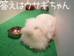 ふっわふわでしょ？.jpg