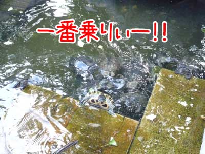 永遠のライバル.jpg