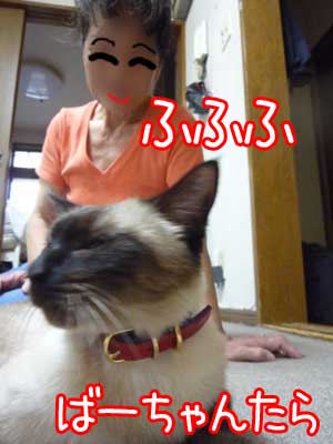 「にゃ」とでも言えば.jpg