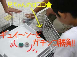 熱い戦いのステージ！！.jpg