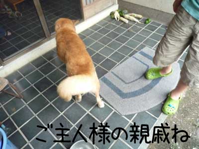 さいきんの若いもんは･･･って.jpg