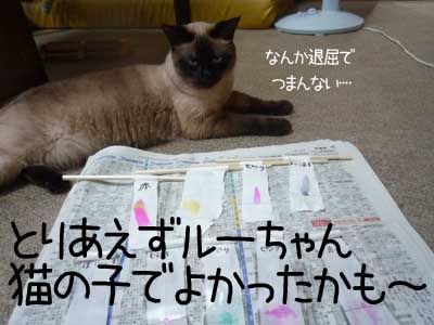 なんて･･やっぱり面倒くさいや.jpg