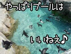 生き返る気分っ♪.jpg