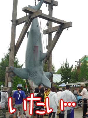 鮫ちゃんも吊るされるのは痛いよねえ.jpg