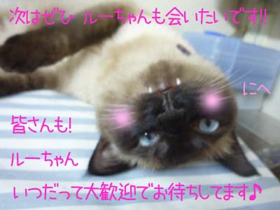 ルーちゃんはいつでも本気で待ってます！！.jpg
