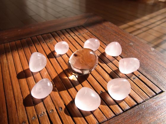 マダガスカル祭り