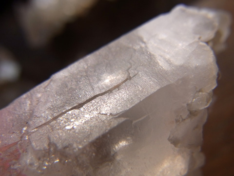 魂の舟と冒険者