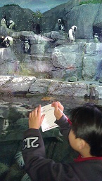 モントレー水族館　4