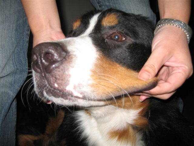 電子メールで送信: IMG_2181