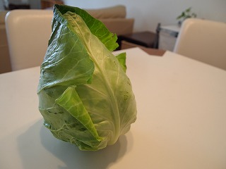 とんがりキャベツ