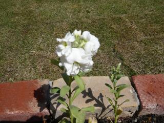 コピー ～ 画像 104.jpg