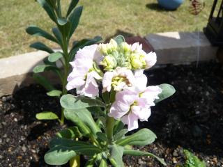 コピー ～ 画像 105.jpg