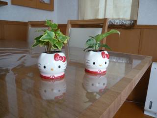 コピー ～ 画像 001.jpg