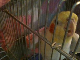 2010-01-22 14:26:56