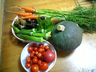 野菜の収穫　9月１０日