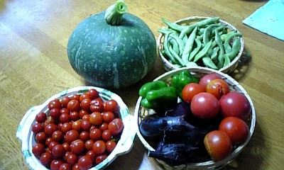 27日地野菜の収穫