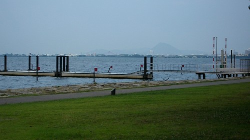 ずっと向こうは三上山20110705.JPG
