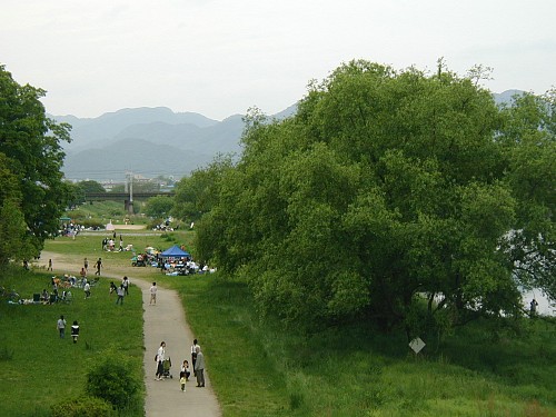 桂川で遊び人たち090504.JPG