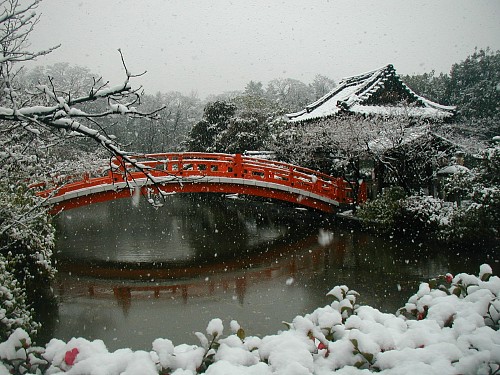 雪の神泉苑20080209.JPG