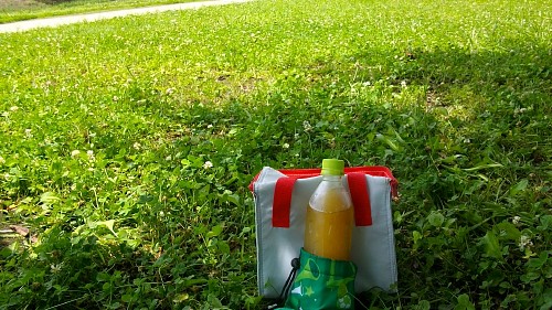 昼休み100630.JPG