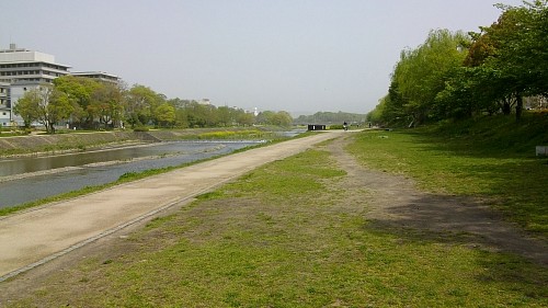 黄砂の鴨川20110502.JPG