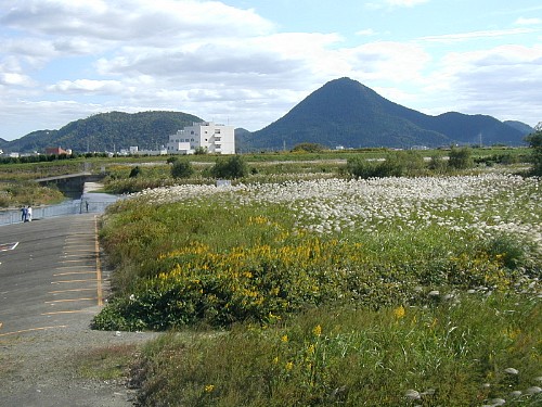 野洲川と三上山20061026