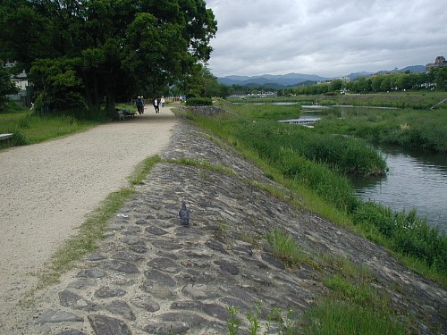 鴨川散歩道20070519