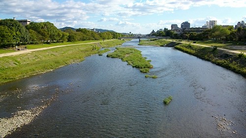 荒神橋からの鴨川101006.JPG